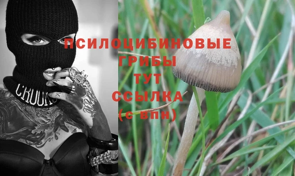 2c-b Кинешма